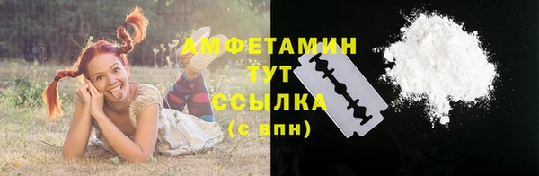 шишки Беломорск