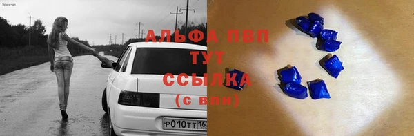 шишки Беломорск
