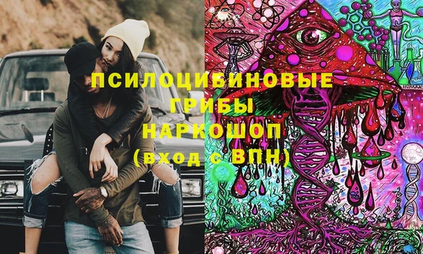 шишки Беломорск
