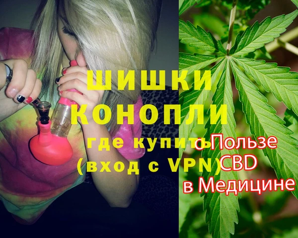 стафф Богородск