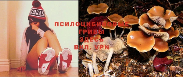 стафф Богородск