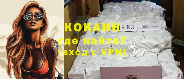 спайс Богданович
