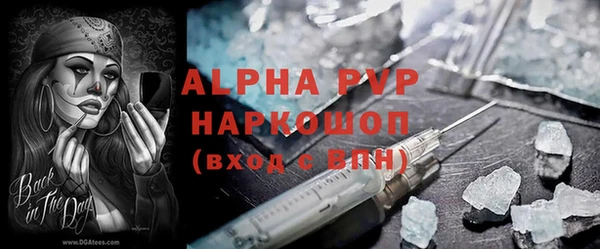 шишки Беломорск