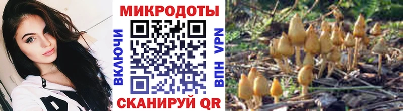 где можно купить наркотик Зима Псилоцибиновые грибы прущие грибы